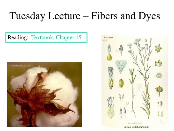 tuesday lecture fibers and dyes