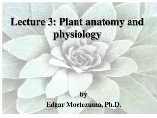 Lecture 3: Plant anatomy and physiology