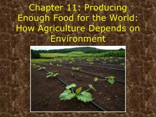 Chapter 11: Producing Enough Food for the World: How Agriculture Depends on Environment
