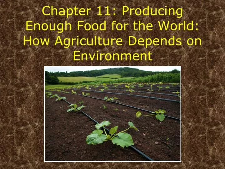 chapter 11 producing enough food for the world how agriculture depends on environment