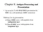 Chapter 8: Antigen Processing and 	Presentation - slide 1