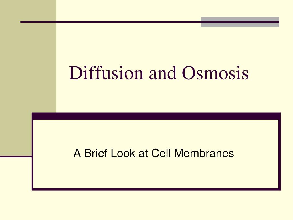 PPT - Diffusion and Osmosis PowerPoint Presentation, free download - ID ...