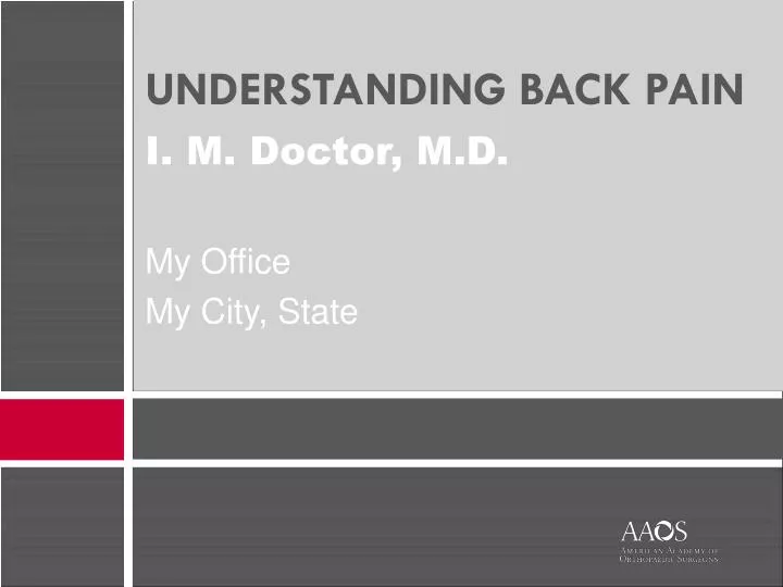 understanding back pain