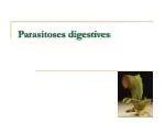 Parasitoses digestives - slide 1