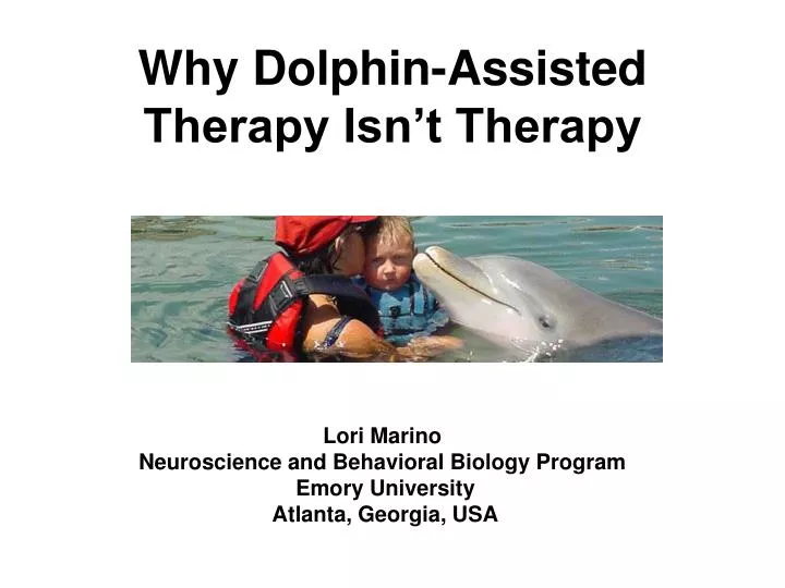 why dolphin assisted therapy isn t therapy