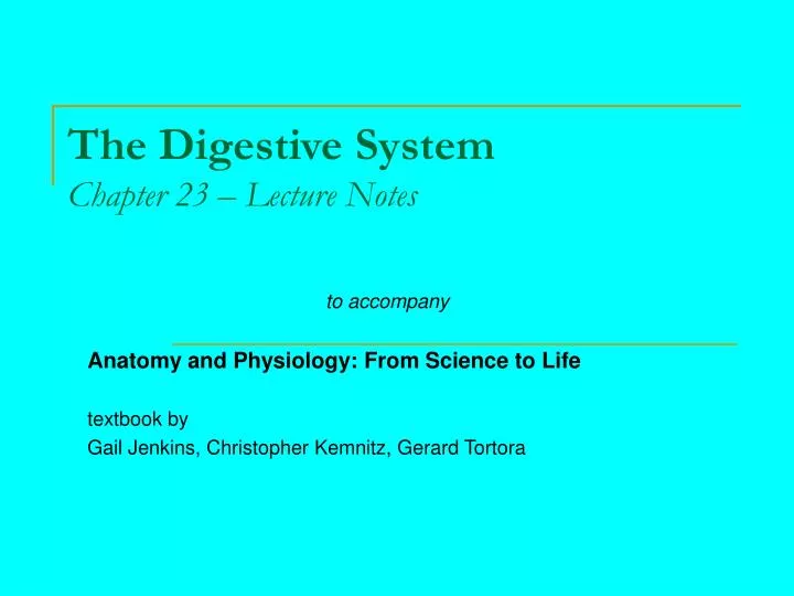the digestive system chapter 23 lecture notes