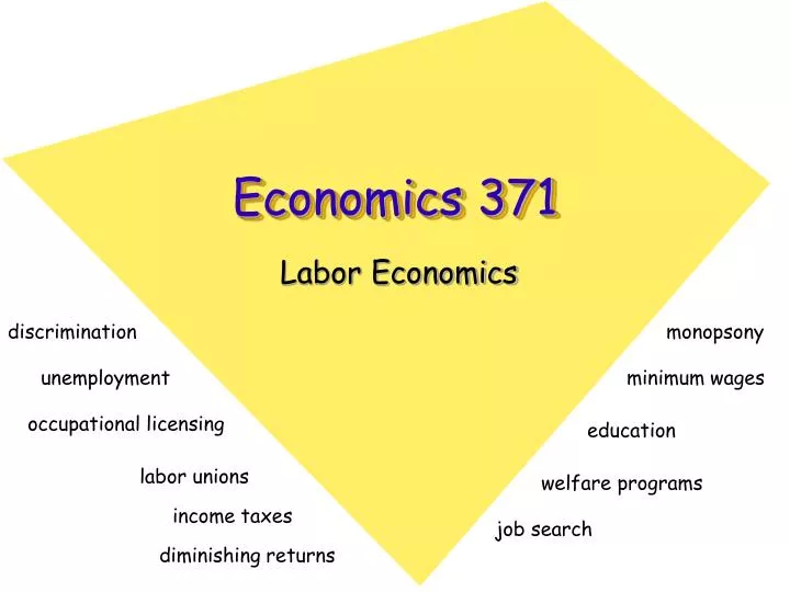economics 371