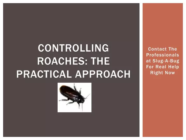 controlling roaches the practical approach