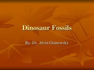 Dinosaur Fossils