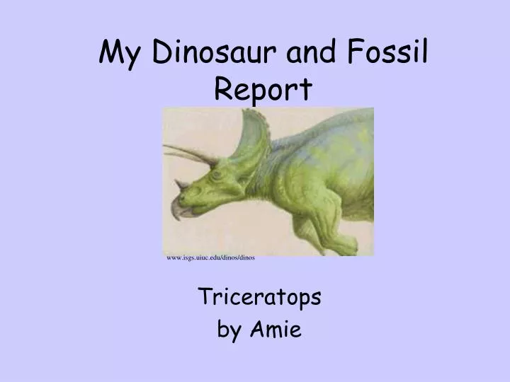 my dinosaur and fossil report