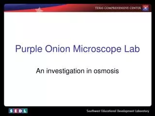 Purple Onion Microscope Lab