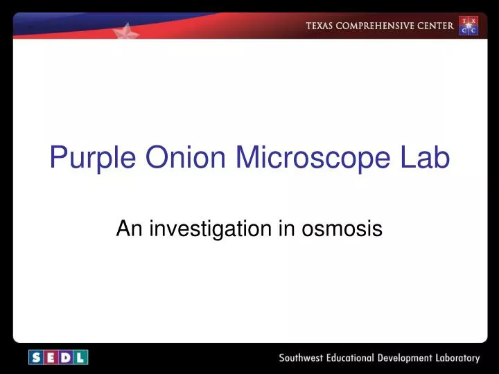 purple onion microscope lab