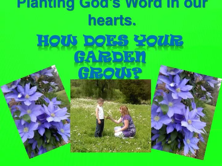 planting god s word in our hearts