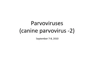 Parvoviruses (canine parvovirus -2)