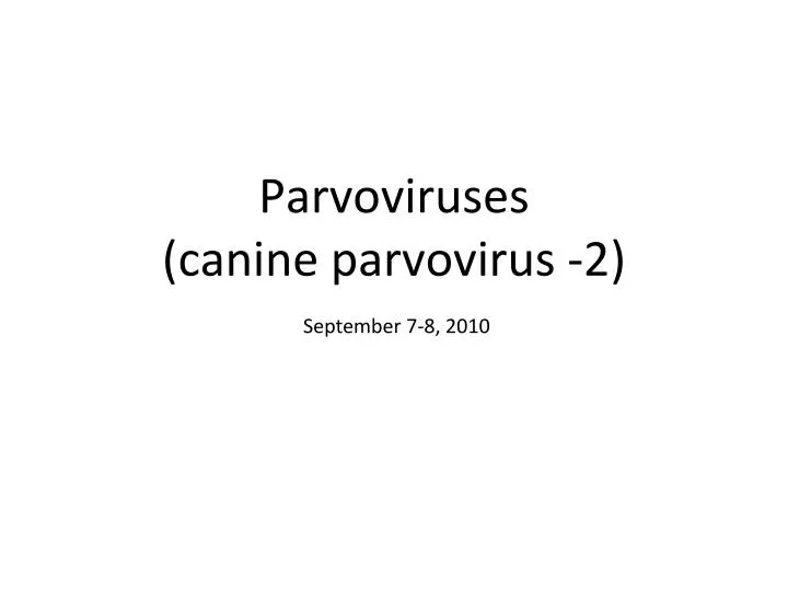 parvoviruses canine parvovirus 2
