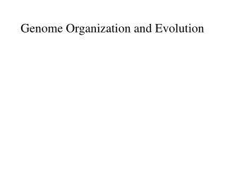 Genome Organization and Evolution