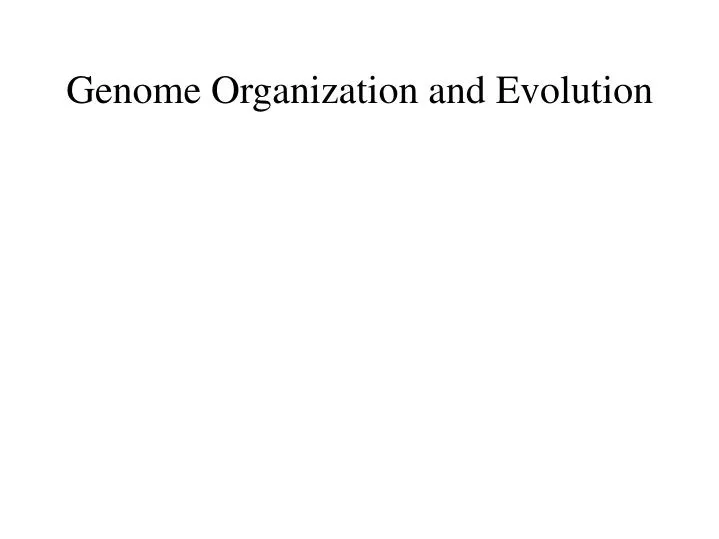 genome organization and evolution