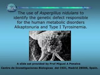 The use of Aspergillus nidulans to identify the genetic defect responsible for the human metabolic disorders Alkaptonu