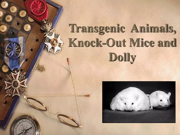 transgenic animals knock out mice and dolly