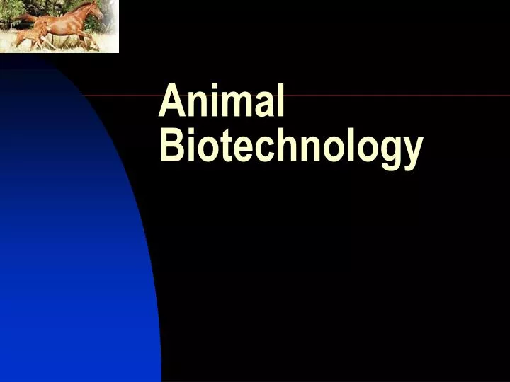 animal biotechnology