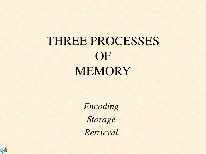 three processes of memory