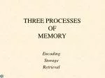 THREE PROCESSES OF MEMORY - slide 1