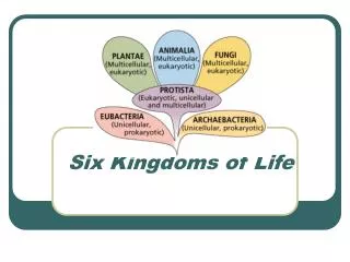 Six Kingdoms of Life