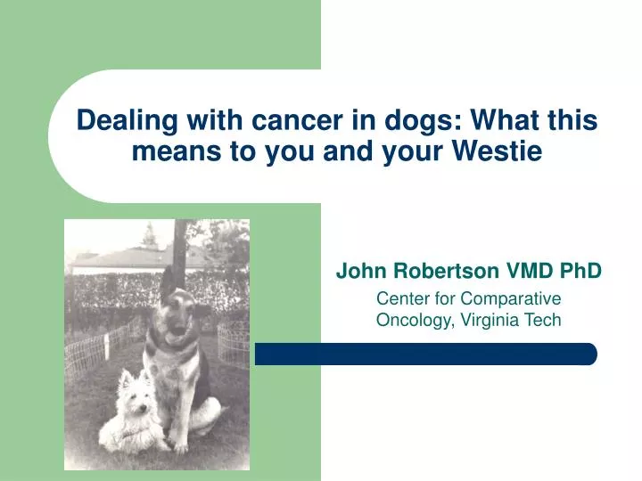 dealing with cancer in dogs what this means to you and your westie