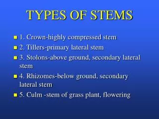 TYPES OF STEMS