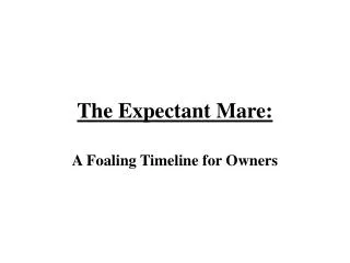 The Expectant Mare: