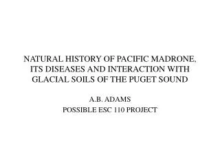 NATURAL HISTORY OF PACIFIC MADRONE, ITS DISEASES AND INTERACTION WITH GLACIAL SOILS OF THE PUGET SOUND