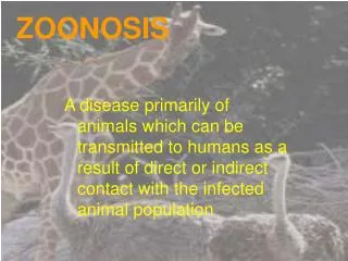 ZOONOSIS