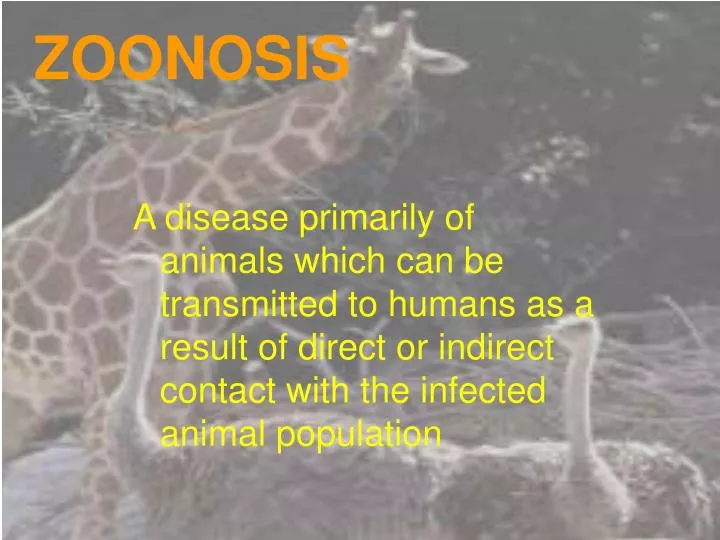 zoonosis
