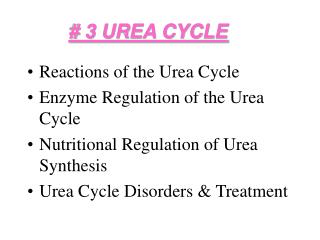 # 3 UREA CYCLE