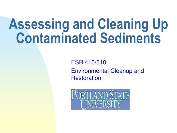 assessing and cleaning up contaminated sediments
