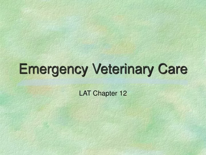emergency veterinary care