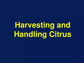 Harvesting and Handling Citrus