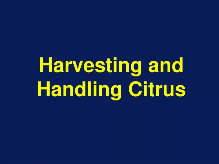 harvesting and handling citrus