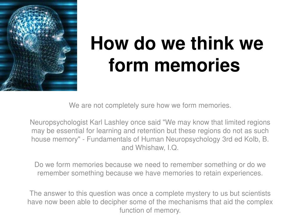 PPT - How do we think we form memories PowerPoint Presentation, free ...