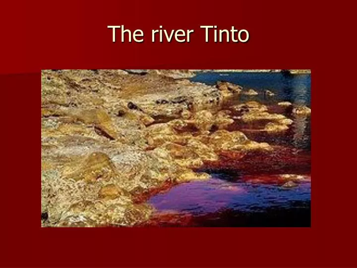 the river tinto