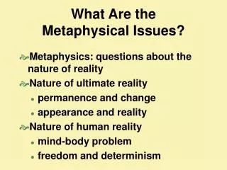 What Are the Metaphysical Issues?