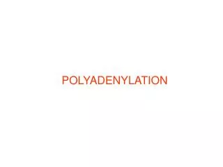 POLYADENYLATION