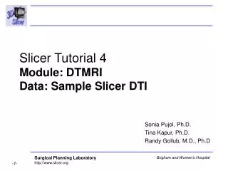 Slicer Tutorial 4 Module: DTMRI Data: Sample Slicer DTI