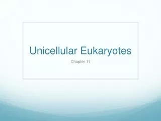 Unicellular Eukaryotes