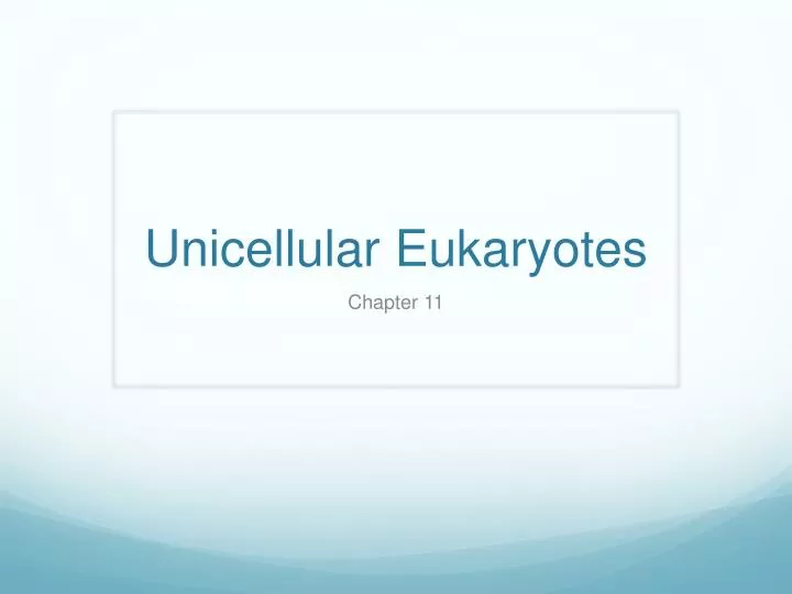 unicellular eukaryotes