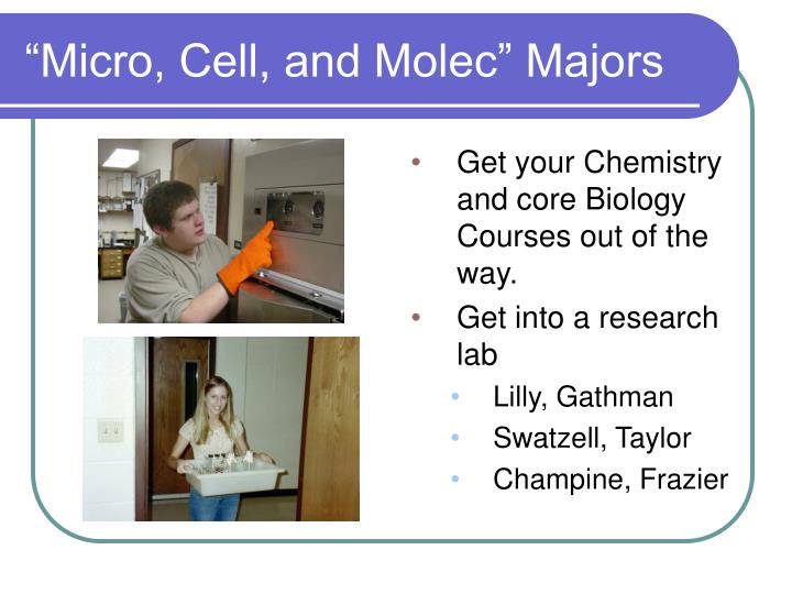 micro cell and molec majors
