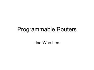 Programmable Routers