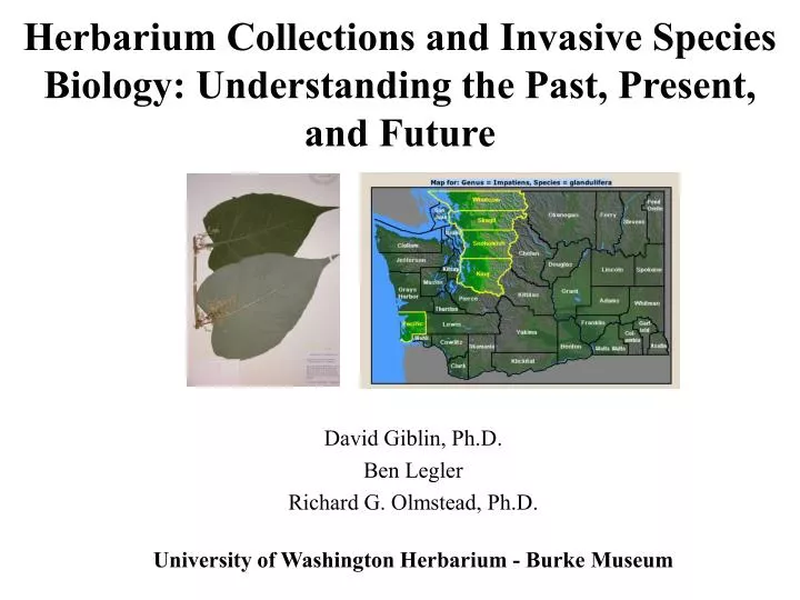 herbarium collections and invasive species biology understanding the past present and future
