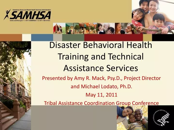 disaster behavioral health training and technical assistance services