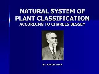 NATURAL SYSTEM OF PLANT CLASSIFICATION ACCORDING TO CHARLES BESSEY BY: ASHLEY BECK